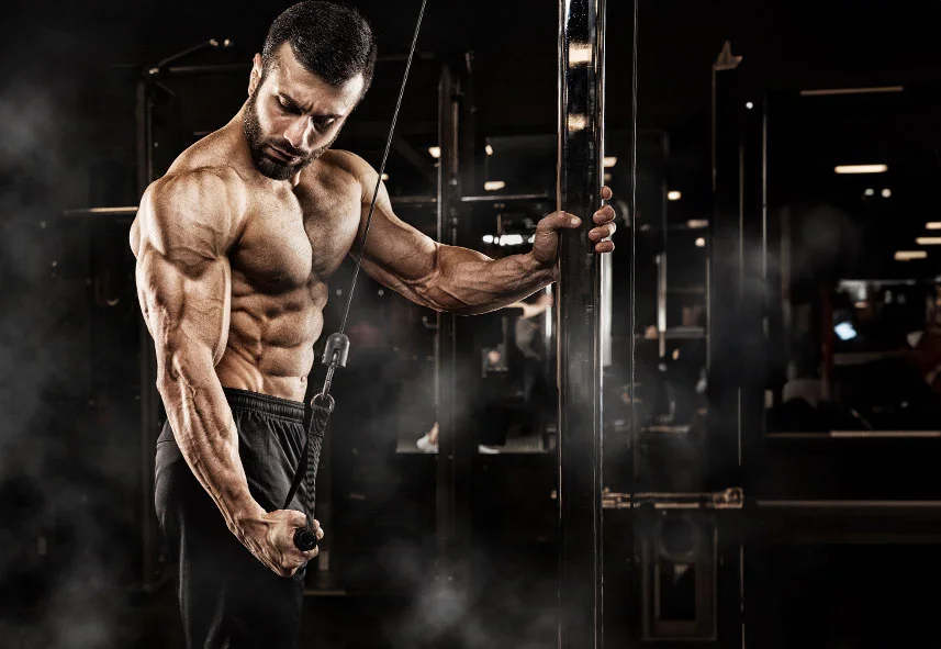 Top Peptides For Muscle Growth